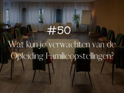 wat kun je verwachten van de opleiding familieopstellingen